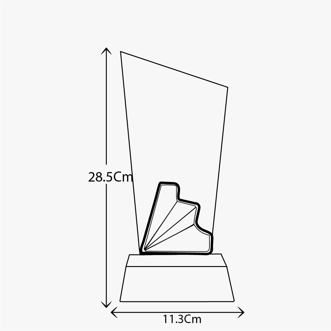 CRYSTAL AWARD WITH RAINBOW GLOW ATTACHED-LS24202