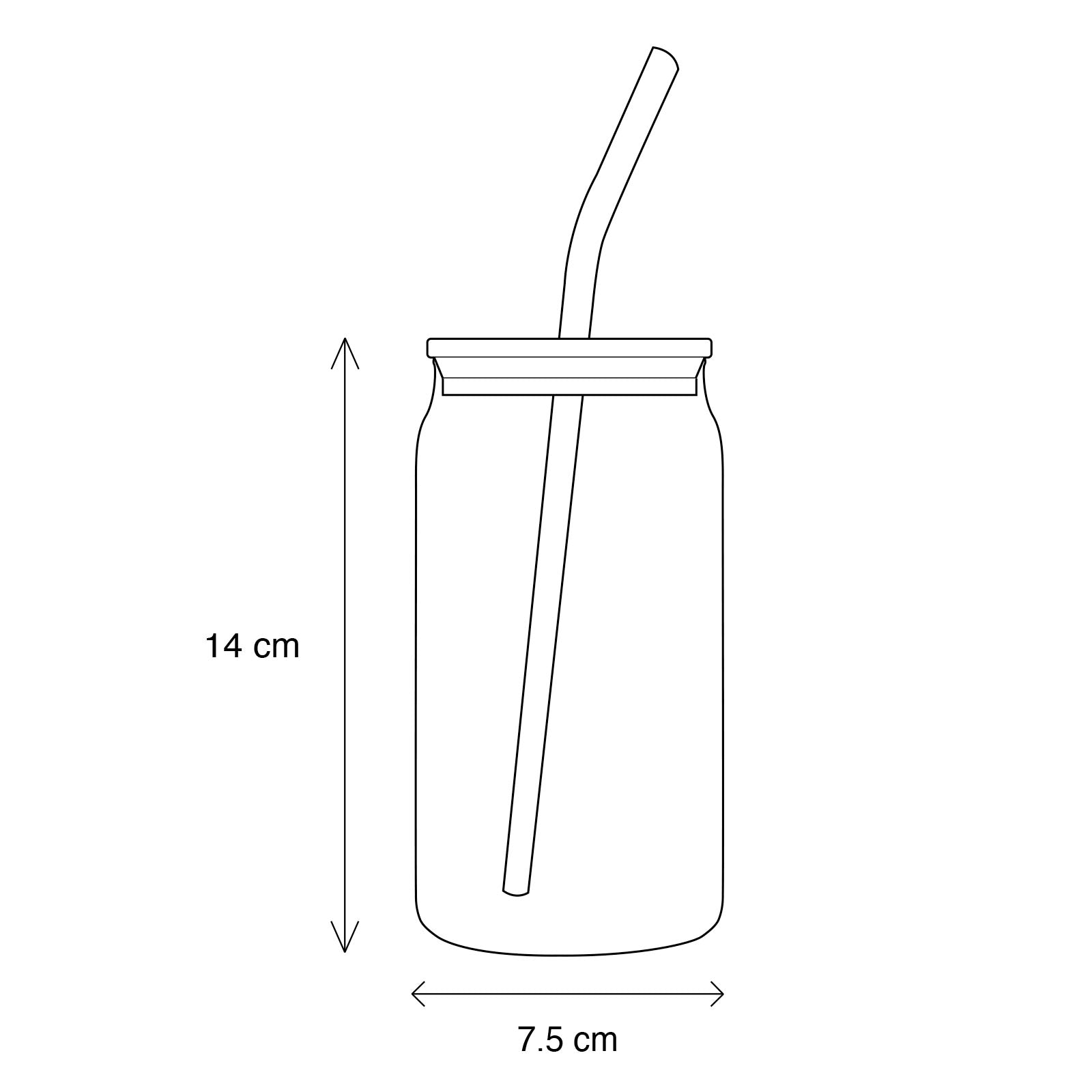 Glass Tumbler with Glass Straw - 16 Oz